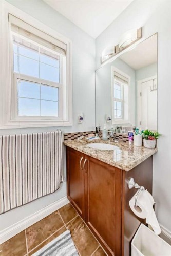 117 Saddlelake Grove Ne, Calgary, AB - Indoor Photo Showing Bathroom