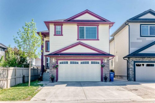 117 Saddlelake Grove Ne, Calgary, AB - Outdoor