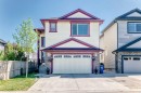 117 Saddlelake Grove Ne, Calgary, AB  - Outdoor 
