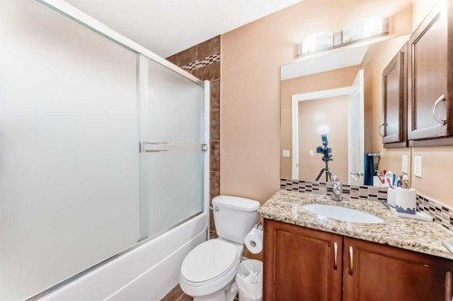 117 Saddlelake Grove Ne, Calgary, AB - Indoor Photo Showing Bathroom