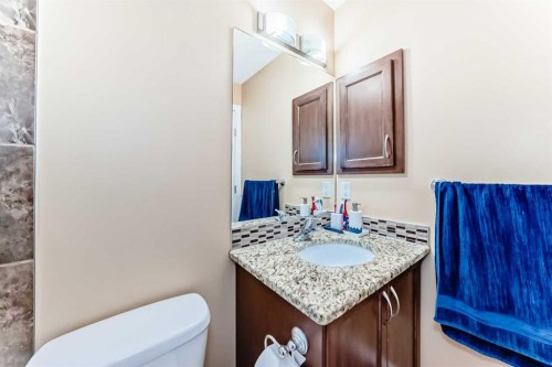 117 Saddlelake Grove Ne, Calgary, AB - Indoor Photo Showing Bathroom