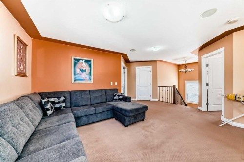 117 Saddlelake Grove Ne, Calgary, AB - Indoor Photo Showing Living Room