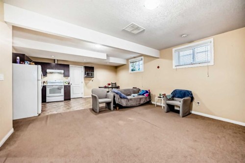 117 Saddlelake Grove Ne, Calgary, AB - Indoor Photo Showing Basement