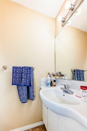 117 Saddlelake Grove Ne, Calgary, AB - Indoor Photo Showing Bathroom