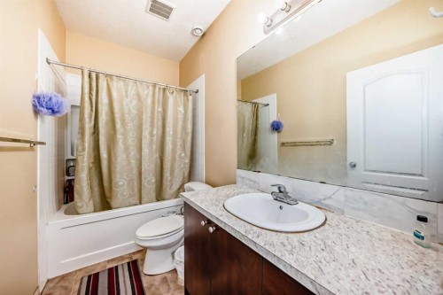 117 Saddlelake Grove Ne, Calgary, AB - Indoor Photo Showing Bathroom