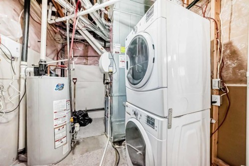 117 Saddlelake Grove Ne, Calgary, AB - Indoor Photo Showing Laundry Room