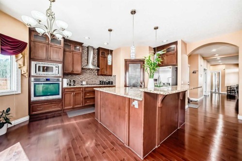 117 Saddlelake Grove Ne, Calgary, AB - Indoor Photo Showing Kitchen With Upgraded Kitchen