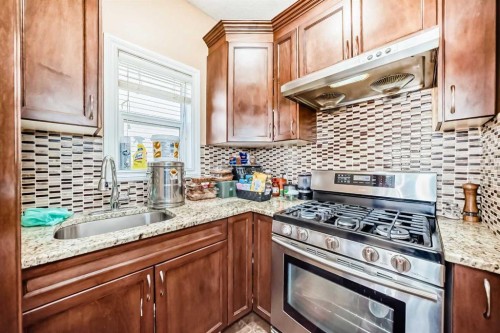 117 Saddlelake Grove Ne, Calgary, AB - Indoor Photo Showing Kitchen With Upgraded Kitchen