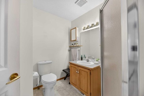 5611 Sunrise Crescent, Olds, AB - Indoor Photo Showing Bathroom