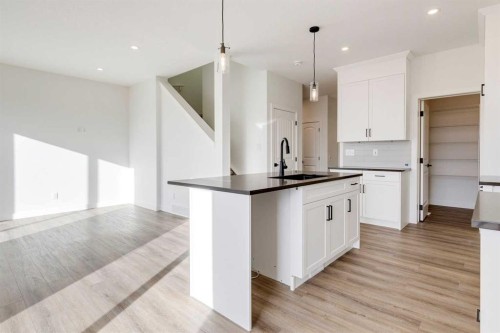 307 Dawson Dock Way, Chestermere, AB - Indoor Photo Showing Kitchen With Upgraded Kitchen