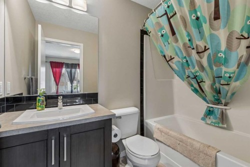 213 Copperpond Villas Se, Calgary, AB - Indoor Photo Showing Bathroom