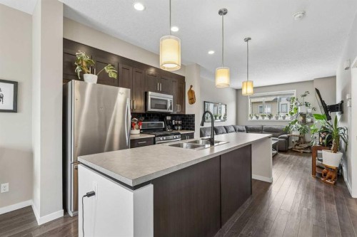 213 Copperpond Villas Se, Calgary, AB - Indoor Photo Showing Kitchen With Double Sink With Upgraded Kitchen