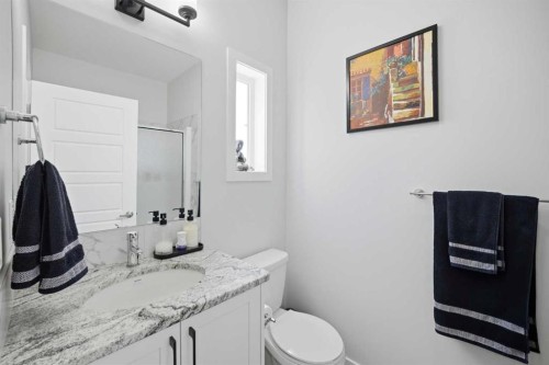 1153 Chinook Gate Bay Sw, Airdrie, AB - Indoor Photo Showing Bathroom