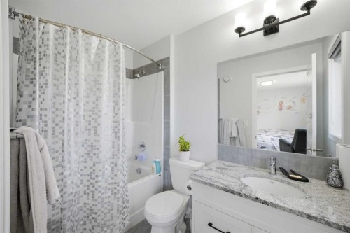 1153 Chinook Gate Bay Sw, Airdrie, AB - Indoor Photo Showing Bathroom