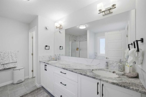 1153 Chinook Gate Bay Sw, Airdrie, AB - Indoor Photo Showing Bathroom