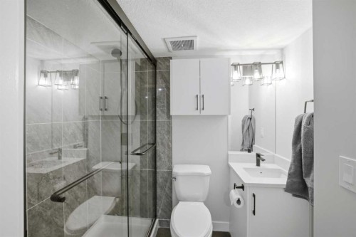 1153 Chinook Gate Bay Sw, Airdrie, AB - Indoor Photo Showing Bathroom