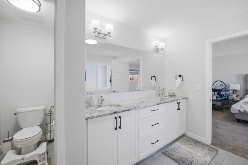 1153 Chinook Gate Bay Sw, Airdrie, AB - Indoor Photo Showing Bathroom