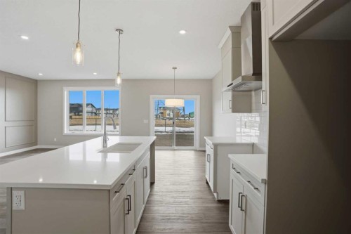 311 Dawson Dock Way, Chestermere, AB - Indoor Photo Showing Kitchen With Upgraded Kitchen