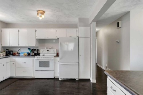 249 Acadia Drive Se, Calgary, AB - Indoor Photo Showing Kitchen