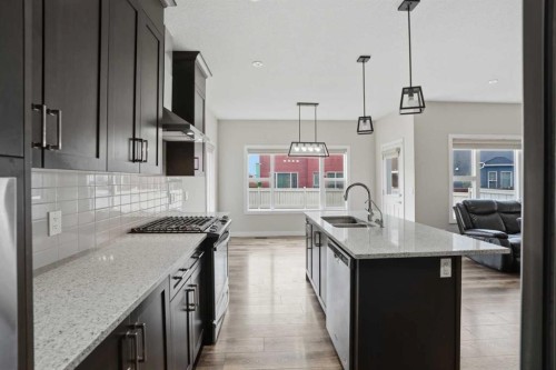 93 Saddlestone Place Ne, Calgary, AB - Indoor Photo Showing Kitchen With Double Sink With Upgraded Kitchen