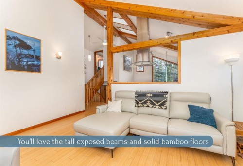 132 Settler Way, Canmore, AB - Indoor Photo Showing Living Room