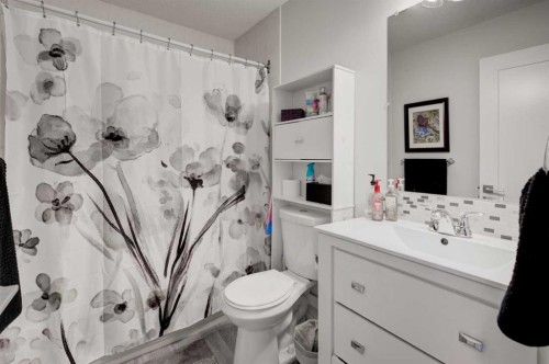 67 Deersaxon Circle Se, Calgary, AB - Indoor Photo Showing Bathroom