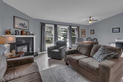 67 Deersaxon Circle Se, Calgary, AB - Indoor Photo Showing Living Room With Fireplace