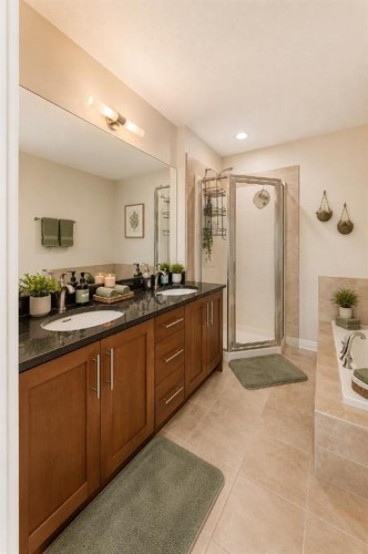 210-1005A Westmount Drive, Strathmore, AB - Indoor Photo Showing Bathroom