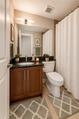 210-1005A Westmount Drive, Strathmore, AB - Indoor Photo Showing Bathroom