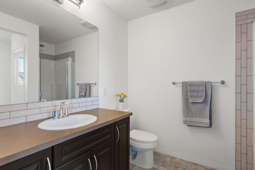 648 Mahogany Boulevard Se, Calgary, AB - Indoor Photo Showing Bathroom