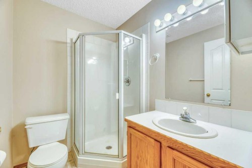 312 Strathaven Drive, Strathmore, AB - Indoor Photo Showing Bathroom