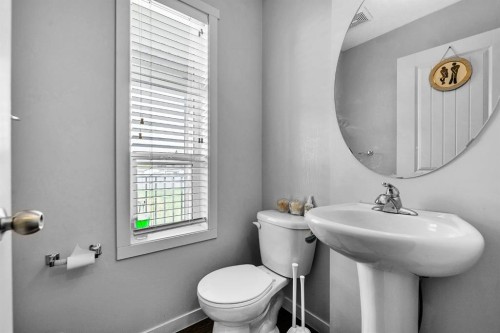425 Copperpond Landing Se, Calgary, AB - Indoor Photo Showing Bathroom
