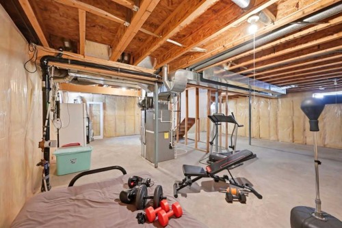 46 Panorama Hills Close Nw, Calgary, AB - Indoor Photo Showing Basement