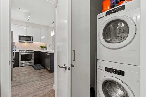 3404-95 Burma Star Road Sw, Calgary, AB - Indoor Photo Showing Laundry Room