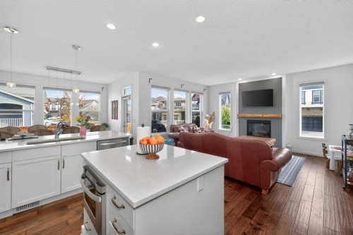 158 Masters Point Se, Calgary, AB - Indoor With Fireplace