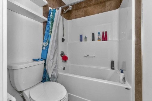158 Masters Point Se, Calgary, AB - Indoor Photo Showing Bathroom