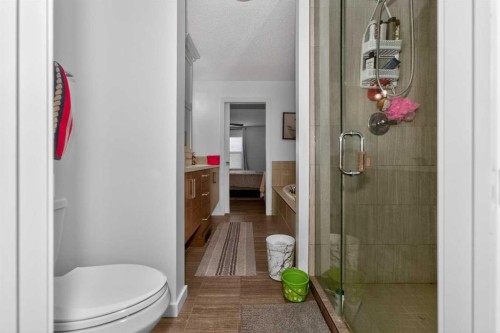 158 Masters Point Se, Calgary, AB - Indoor Photo Showing Bathroom