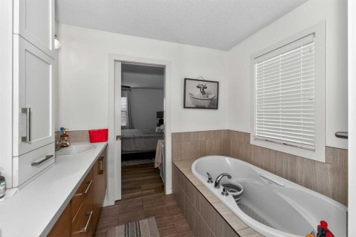 158 Masters Point Se, Calgary, AB - Indoor Photo Showing Bathroom