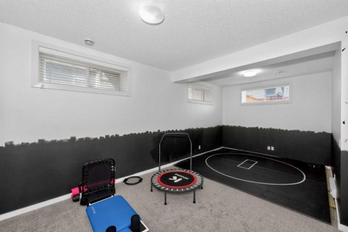 158 Masters Point Se, Calgary, AB - Indoor