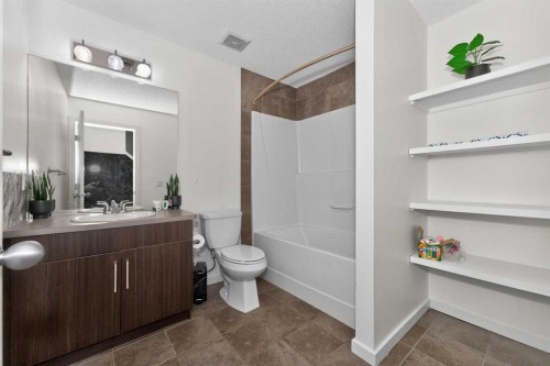 158 Masters Point Se, Calgary, AB - Indoor Photo Showing Bathroom