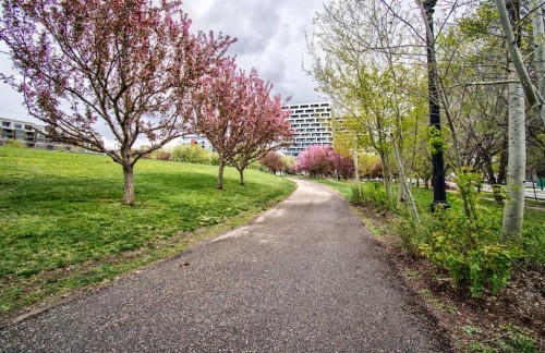 515-955 Mcpherson Road Ne, Calgary, AB 