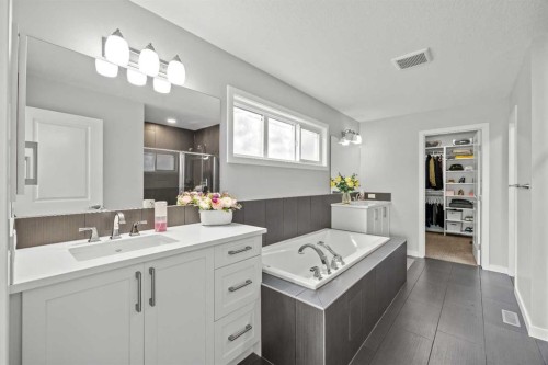 123 Masters Rise Se, Calgary, AB - Indoor Photo Showing Bathroom