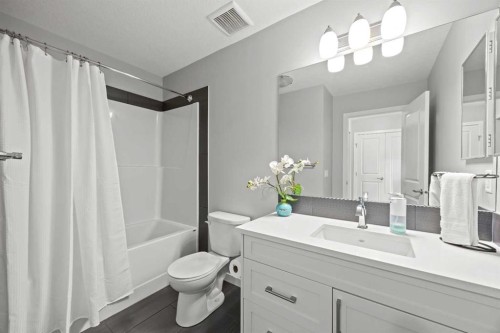 123 Masters Rise Se, Calgary, AB - Indoor Photo Showing Bathroom