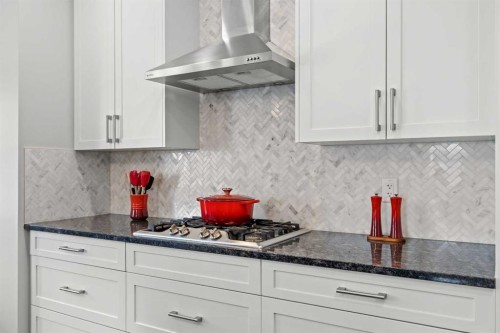 123 Masters Rise Se, Calgary, AB - Indoor Photo Showing Kitchen