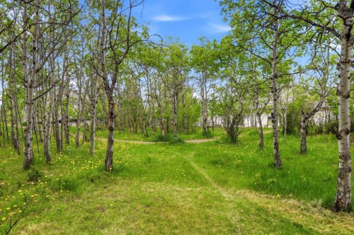75 Anatapi Lane Sw, Calgary, AB 
