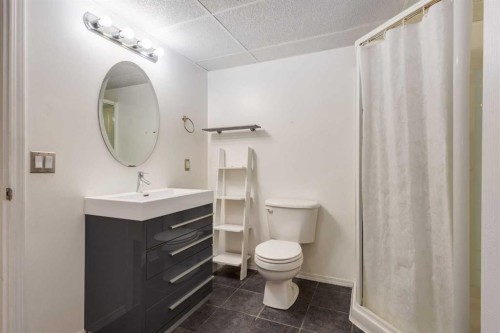 7203 5 Street Sw, Calgary, AB - Indoor Photo Showing Bathroom