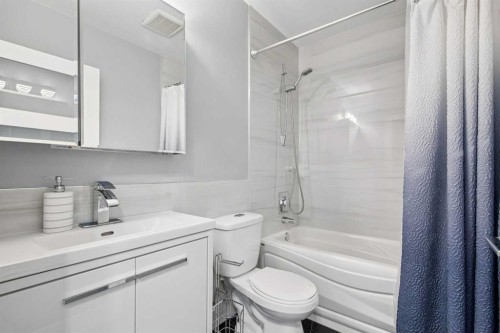 427 96 Avenue Se, Calgary, AB - Indoor Photo Showing Bathroom