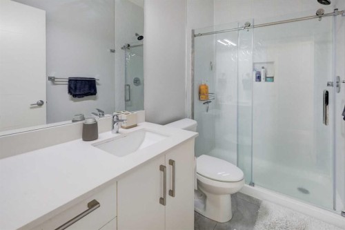 111-408 27 Avenue Ne, Calgary, AB - Indoor Photo Showing Bathroom