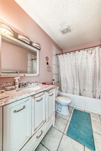 411 Abadan Place Ne, Calgary, AB - Indoor Photo Showing Bathroom