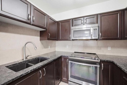 1408-6118 80 Avenue Ne, Calgary, AB - Indoor Photo Showing Kitchen With Double Sink